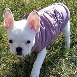 Meet your Posher, Stacy